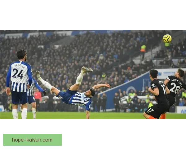 英超布莱顿保级战